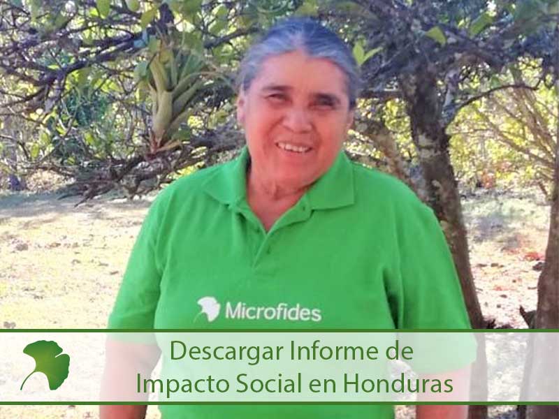informe_impacto_social_honduras.jpg